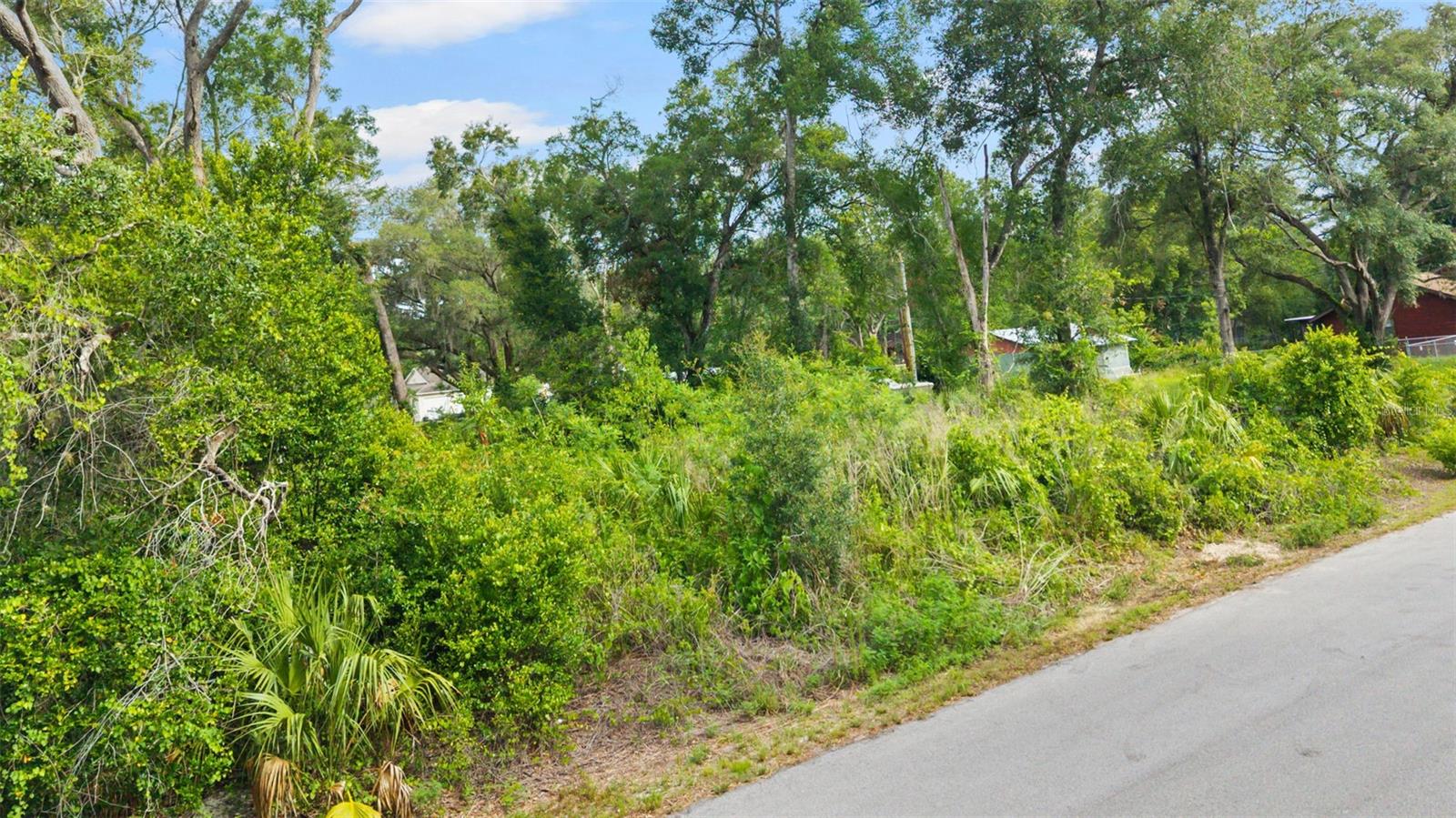 15177 SPOKANE RD, SPRING HILL, FL — photo 16