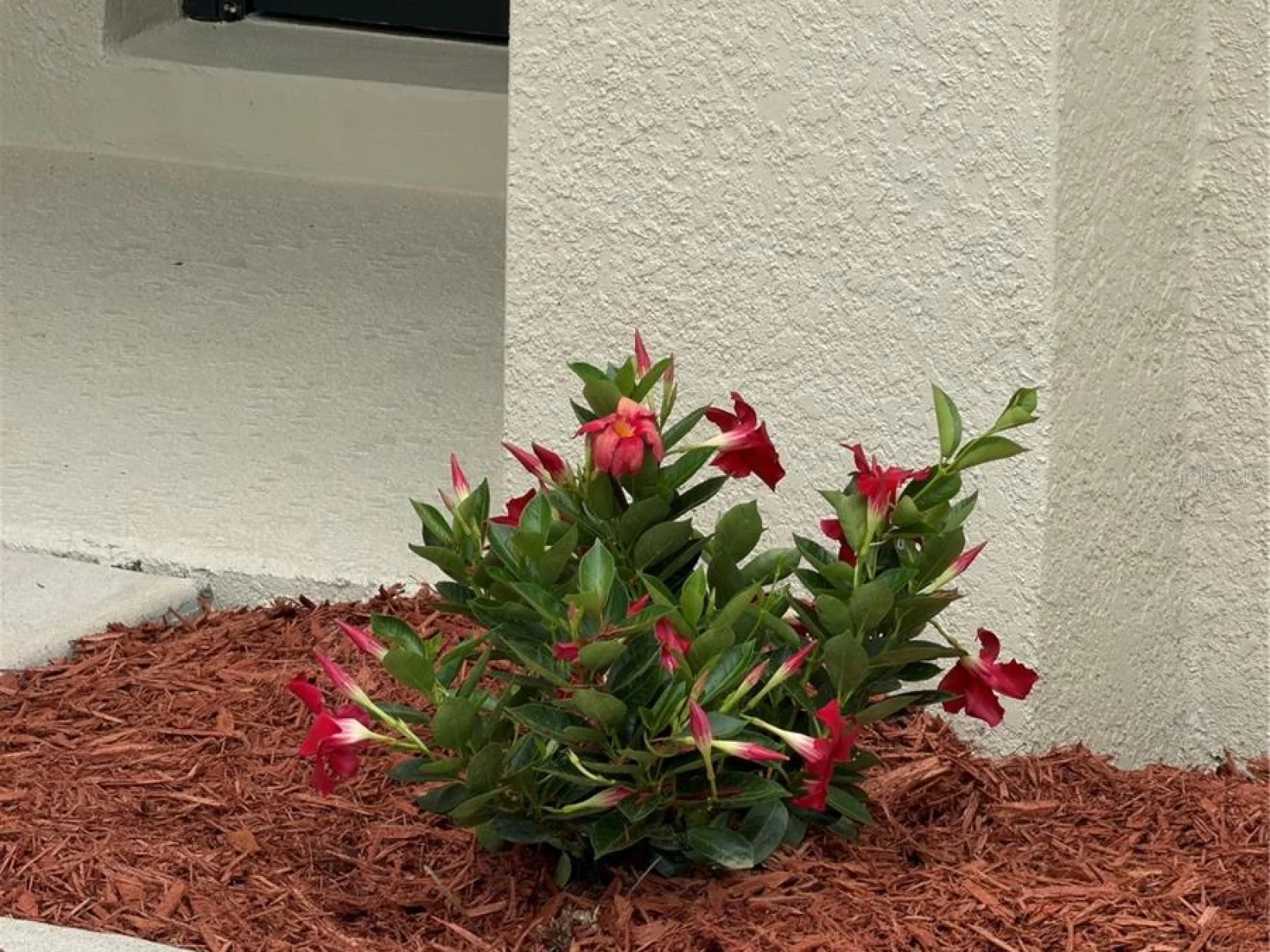 16491 GLASSY LOCH LOOP, CLERMONT, FL — photo 3
