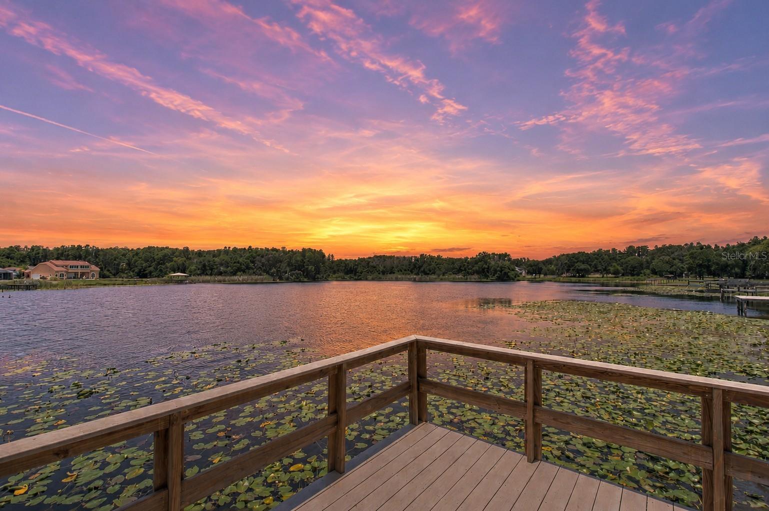 2459 SHOREWOOD LN, LAND O LAKES, FL