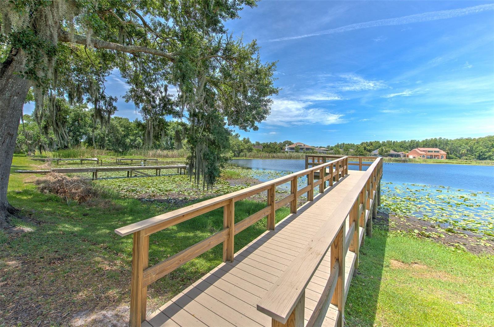 2459 SHOREWOOD LN, LAND O LAKES, FL — photo 4
