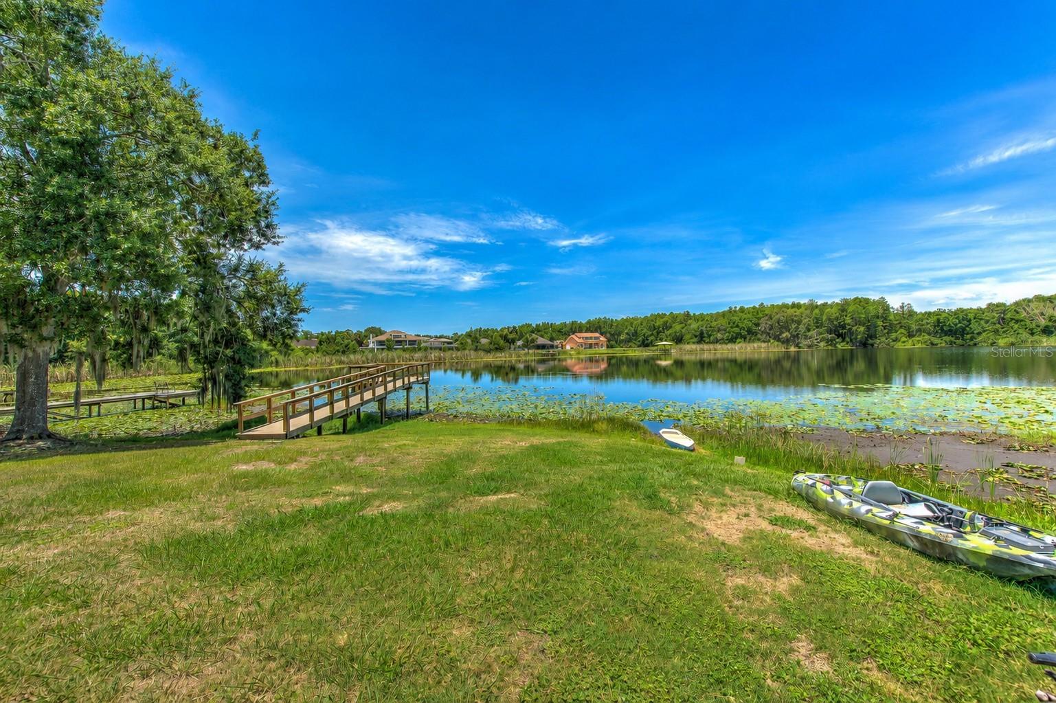 2459 SHOREWOOD LN, LAND O LAKES, FL — photo 9