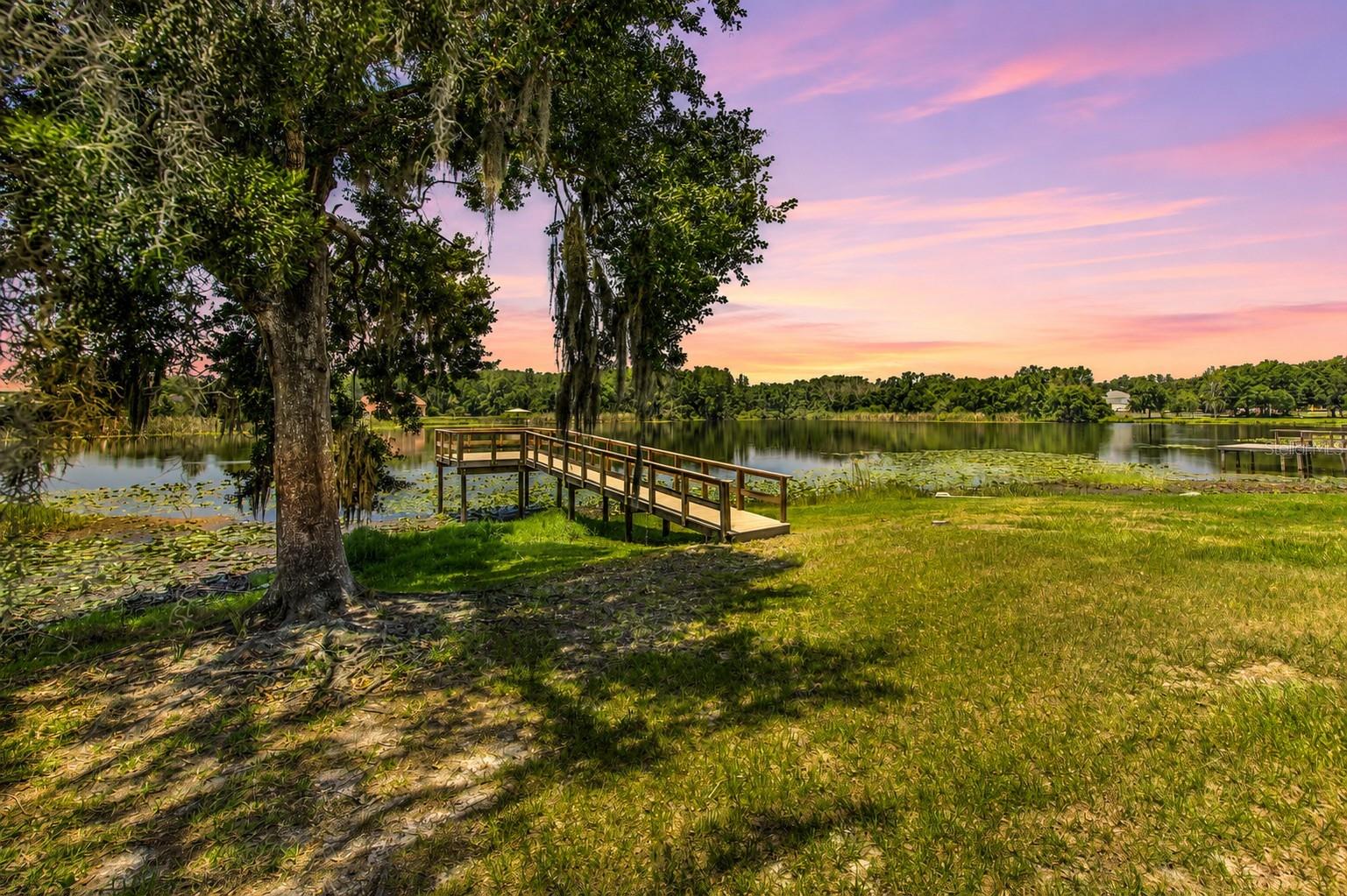 2459 SHOREWOOD LN, LAND O LAKES, FL — photo 5