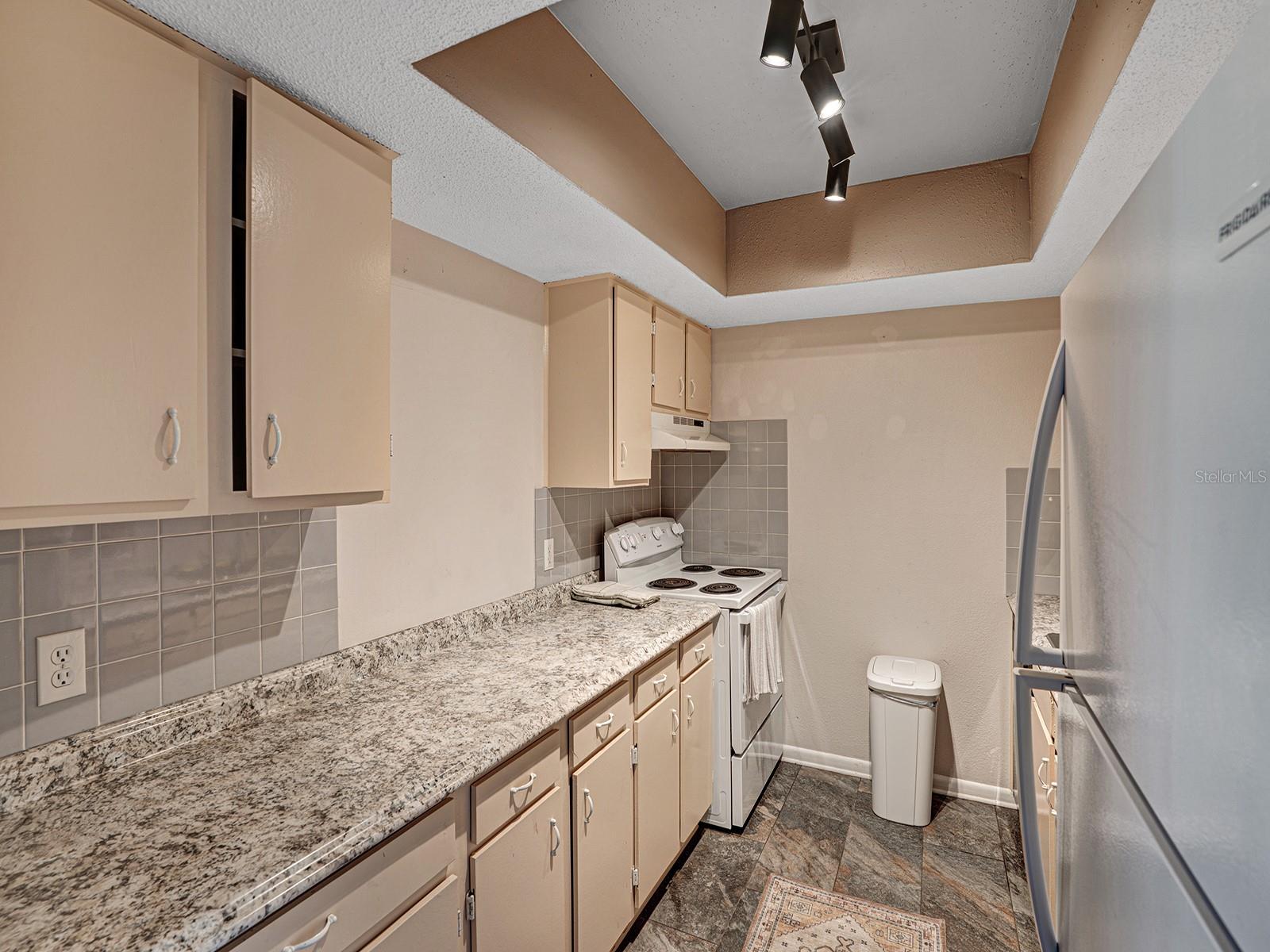 625 N KEENE RD #B, CLEARWATER, FL — photo 9