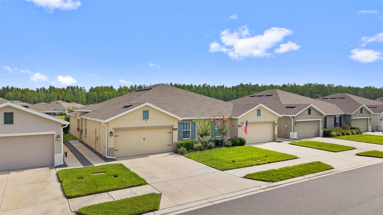 17784 TURNING LEAF CIR, LAND O LAKES, FL — photo 44