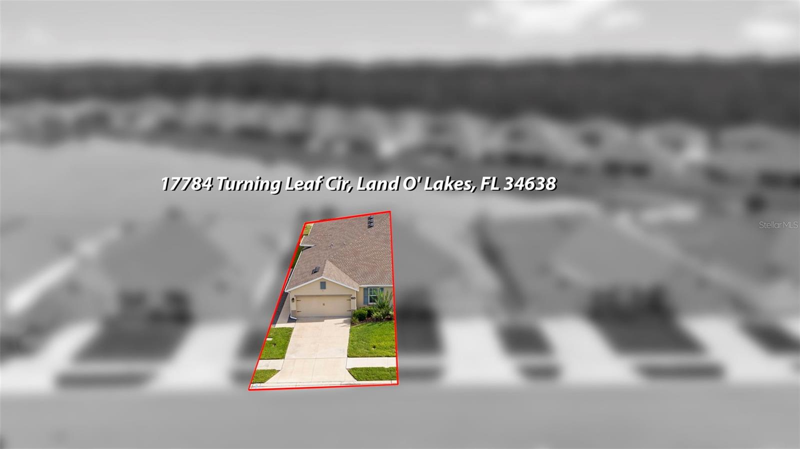 17784 TURNING LEAF CIR, LAND O LAKES, FL — photo 45