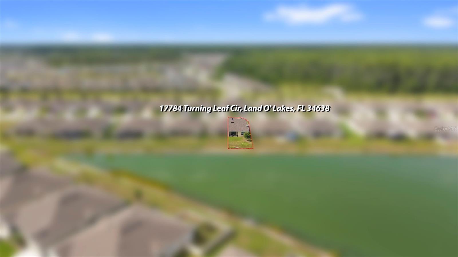 17784 TURNING LEAF CIR, LAND O LAKES, FL — photo 51