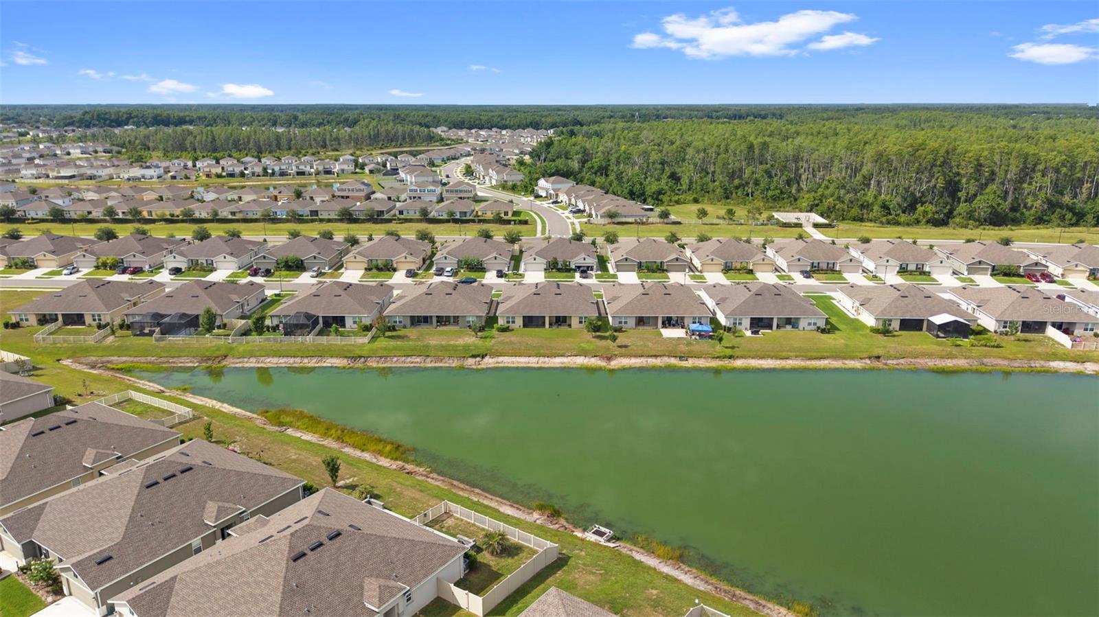 17784 TURNING LEAF CIR, LAND O LAKES, FL — photo 52