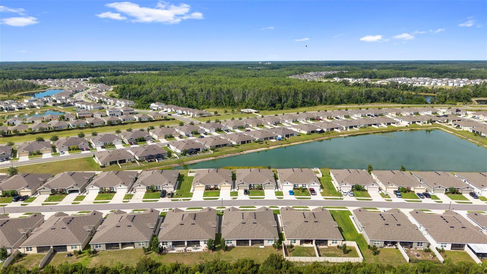 17784 TURNING LEAF CIR, LAND O LAKES, FL — photo 53