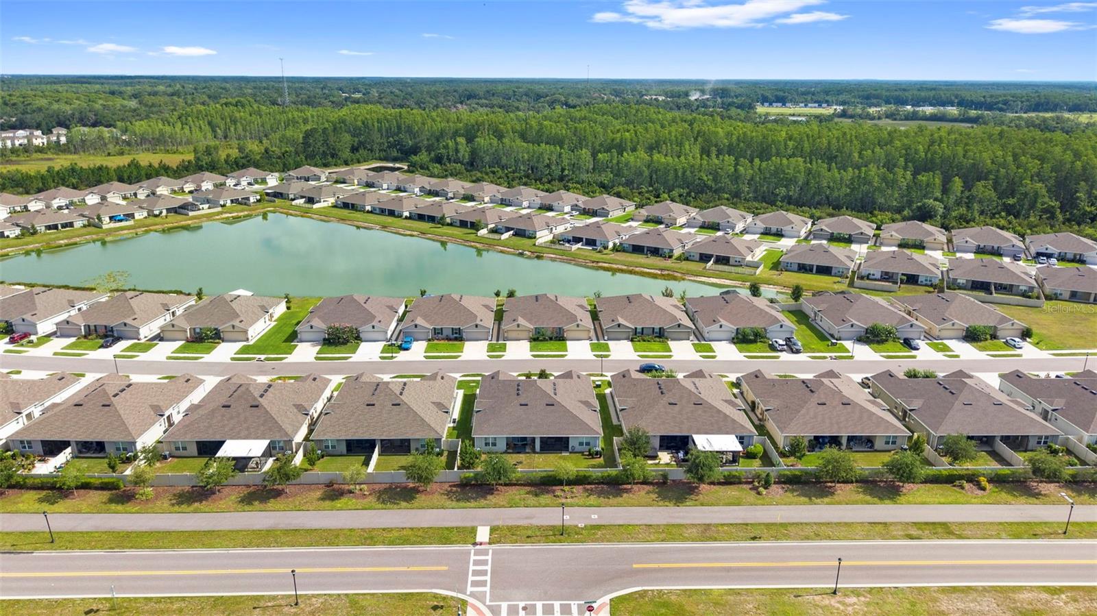 17784 TURNING LEAF CIR, LAND O LAKES, FL — photo 54