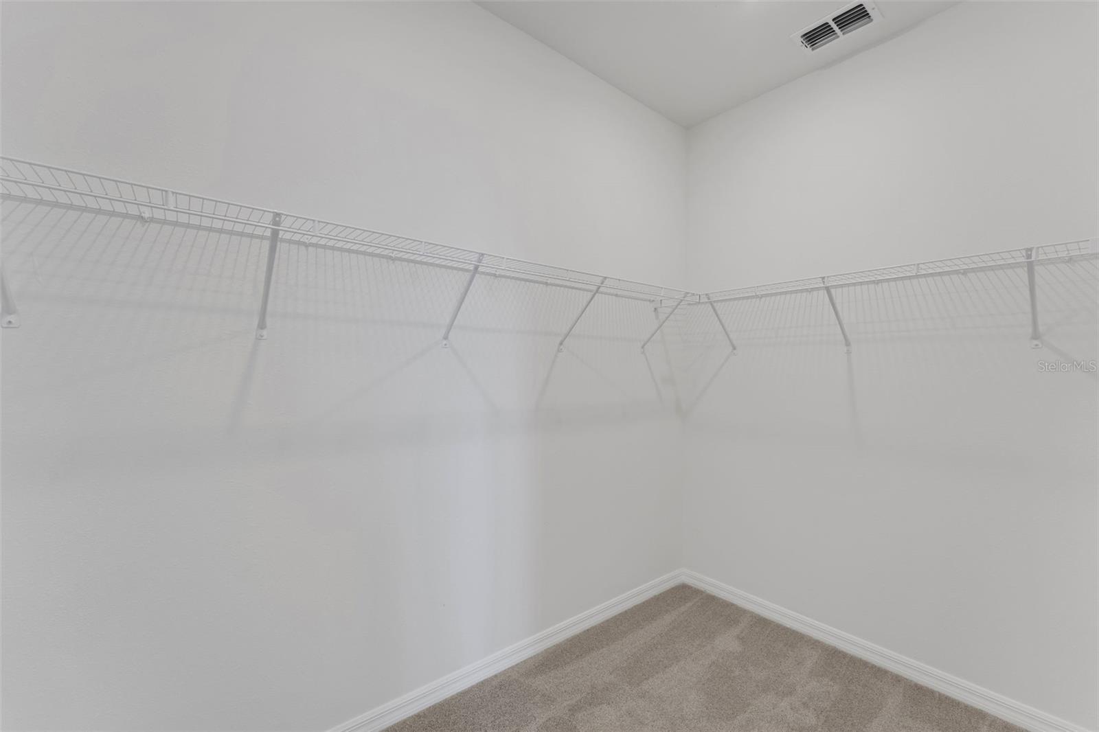 16930 SQUIRREL BRANCH LN, ALVA, FL — photo 10