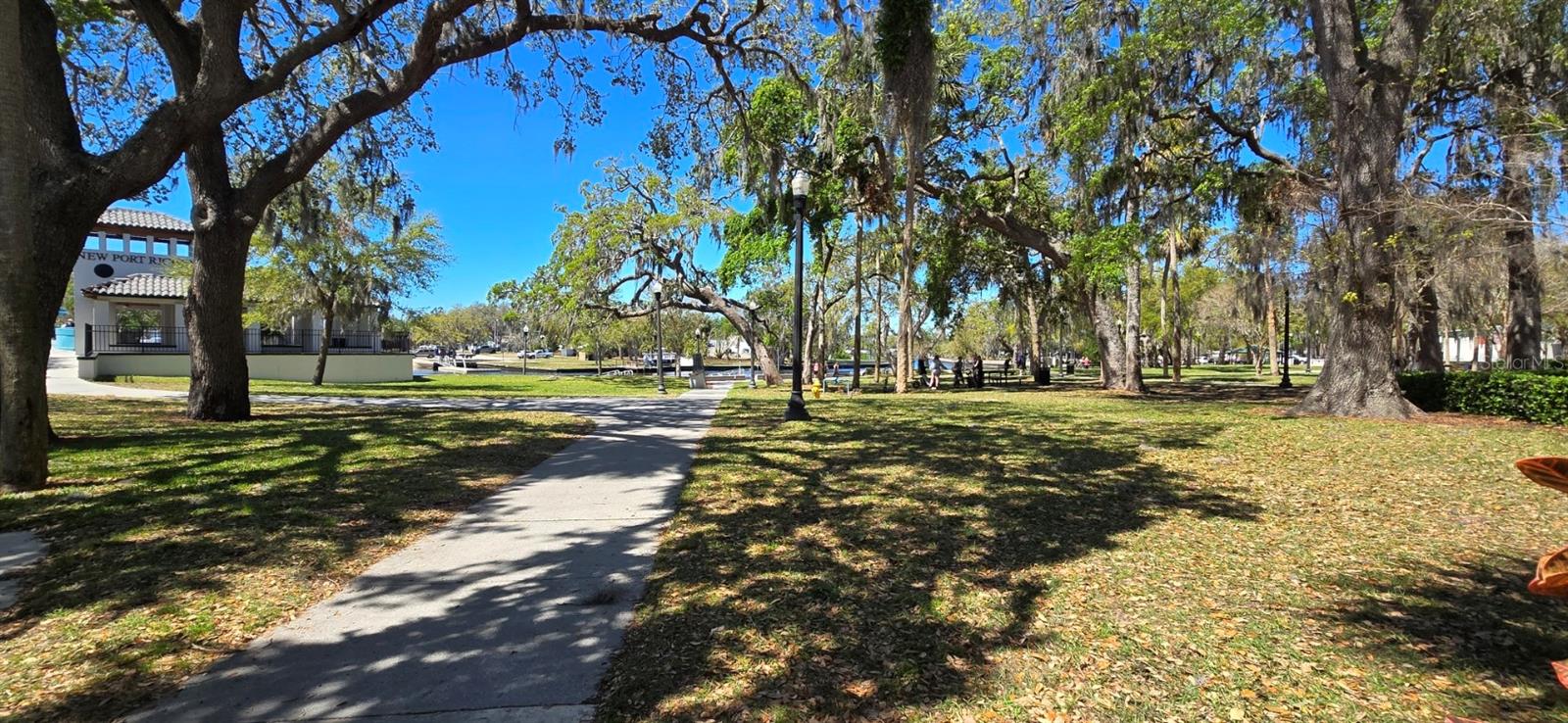5904 ELM ST, NEW PORT RICHEY, FL — photo 29
