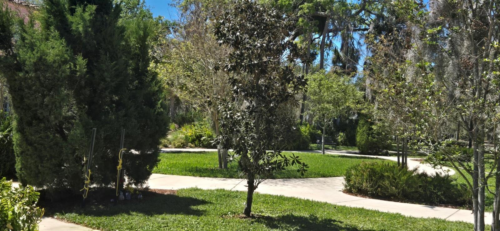 5904 ELM ST, NEW PORT RICHEY, FL — photo 33