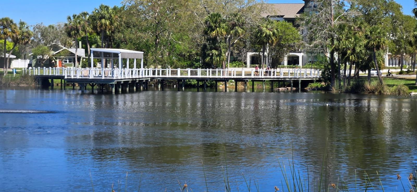 5904 ELM ST, NEW PORT RICHEY, FL — photo 41