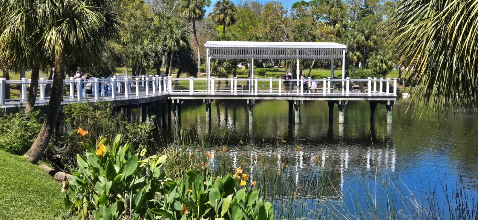 5904 ELM ST, NEW PORT RICHEY, FL — photo 42