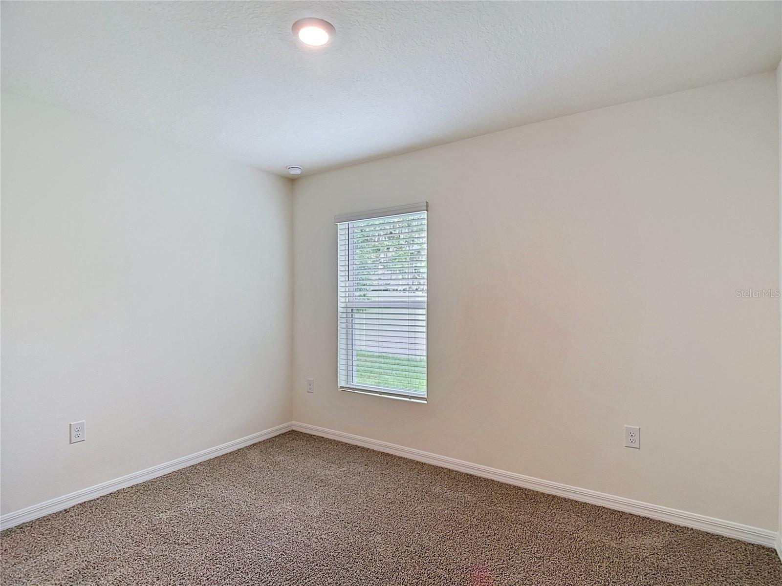 31115 SILVER STAGE DR, BROOKSVILLE, FL — photo 33