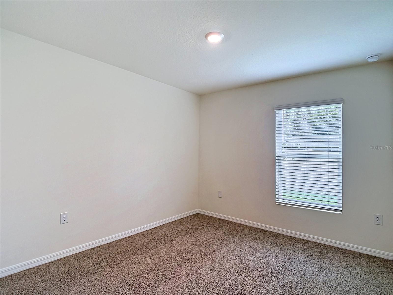 31115 SILVER STAGE DR, BROOKSVILLE, FL — photo 35