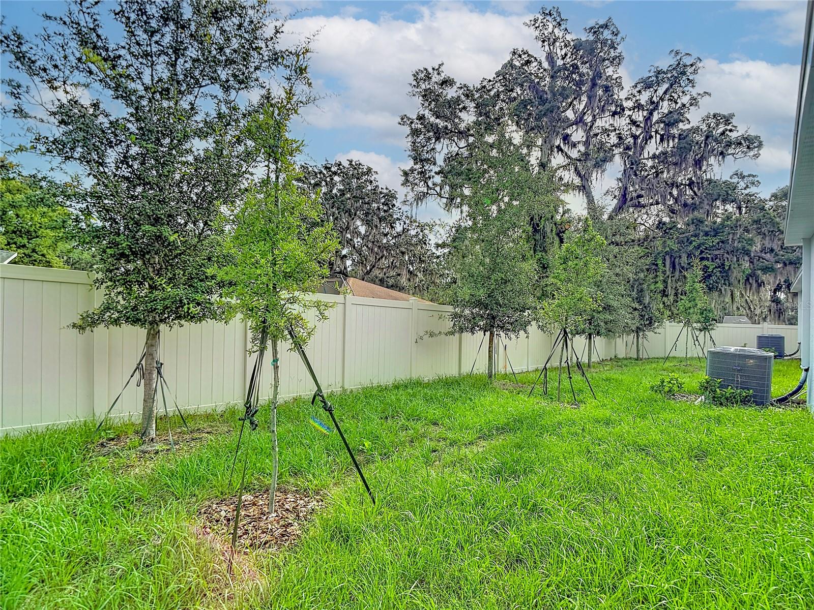 31115 SILVER STAGE DR, BROOKSVILLE, FL — photo 44