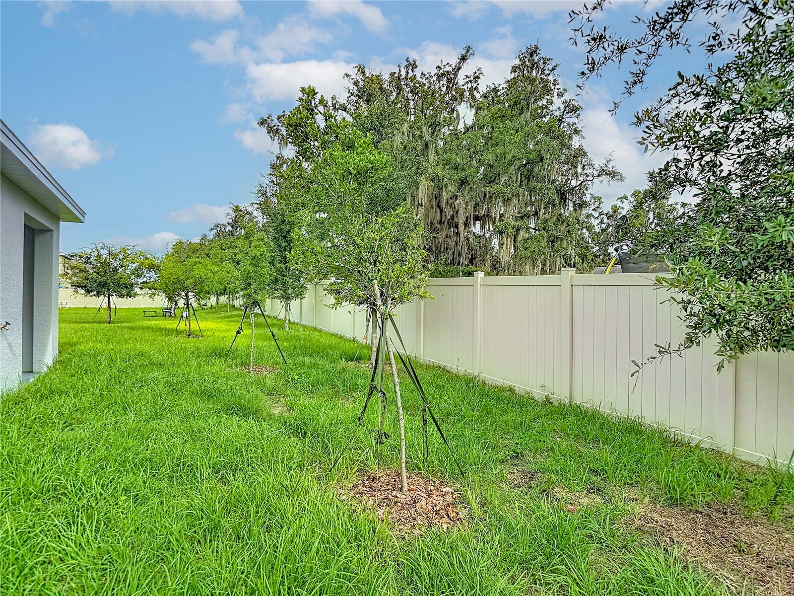 31115 SILVER STAGE DR, BROOKSVILLE, FL — photo 46