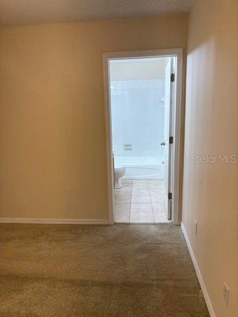 18157 PARADISE POINT DR, TAMPA, FL — photo 25