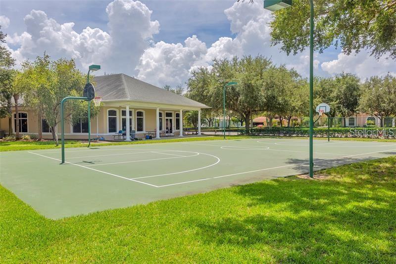 18157 PARADISE POINT DR, TAMPA, FL — photo 42