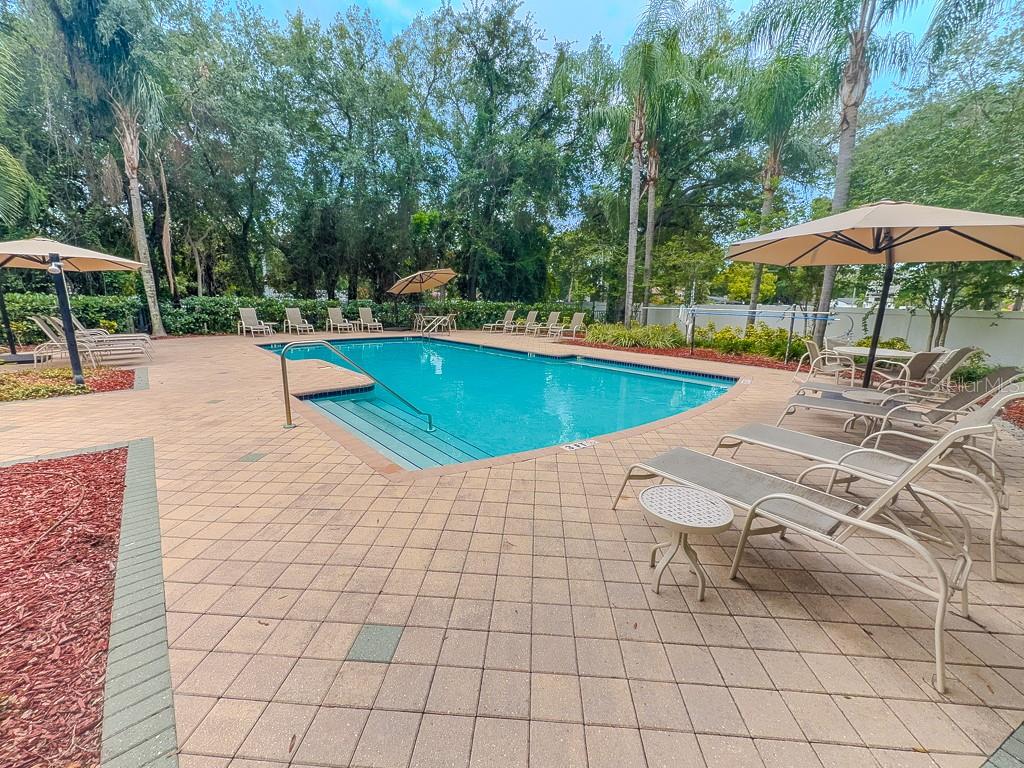 8505 SANDY BEACH ST, TAMPA, FL — photo 46