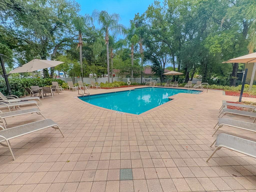 8505 SANDY BEACH ST, TAMPA, FL — photo 48