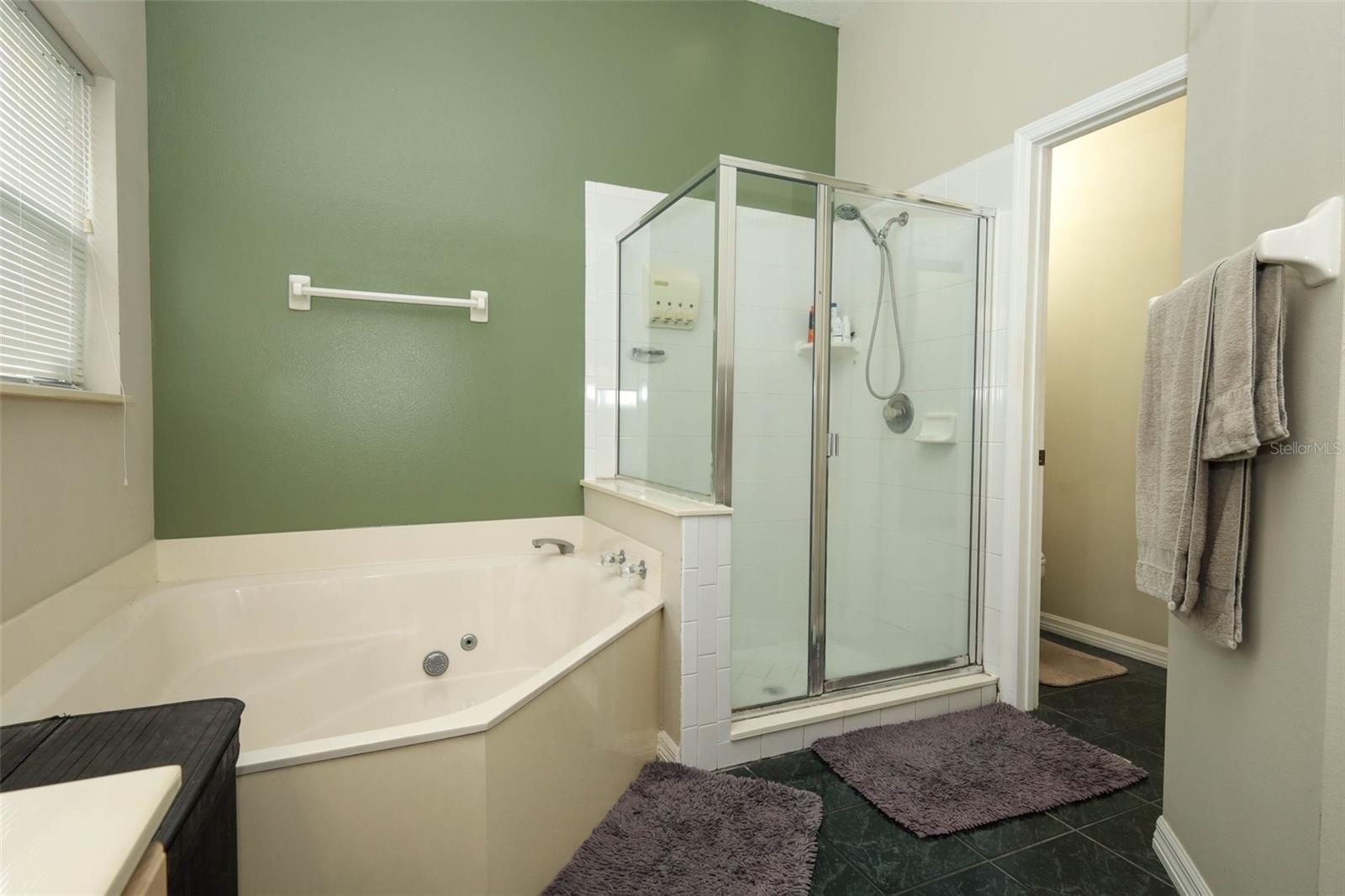 877 KENSINGTON GARDENS CT, OVIEDO, FL — photo 24