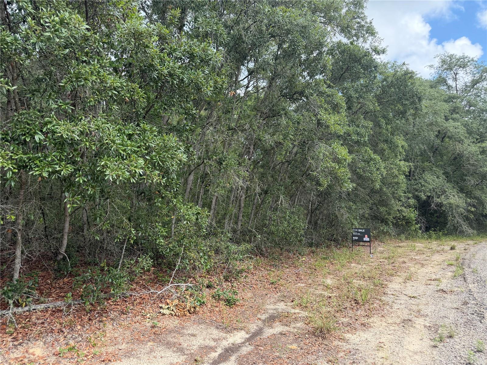 9328 N RADA TER, DUNNELLON, FL — photo 2