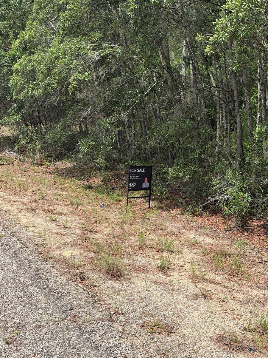 9328 N RADA TER, DUNNELLON, FL — photo 3