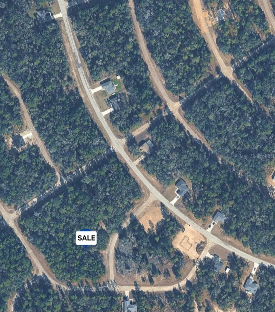 9328 N RADA TER, DUNNELLON, FL — photo 4