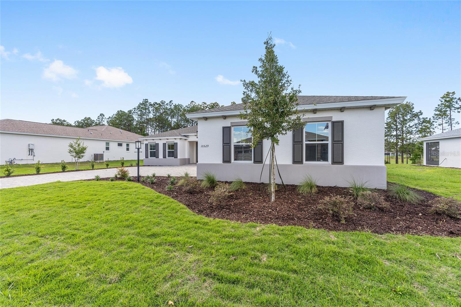 10529 SW 96TH LANE RD, OCALA, FL — photo 5
