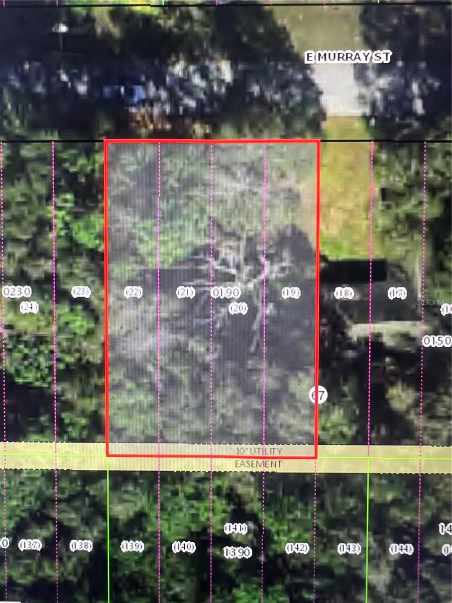 3404 E MURRAY ST, INVERNESS, FL — photo 2