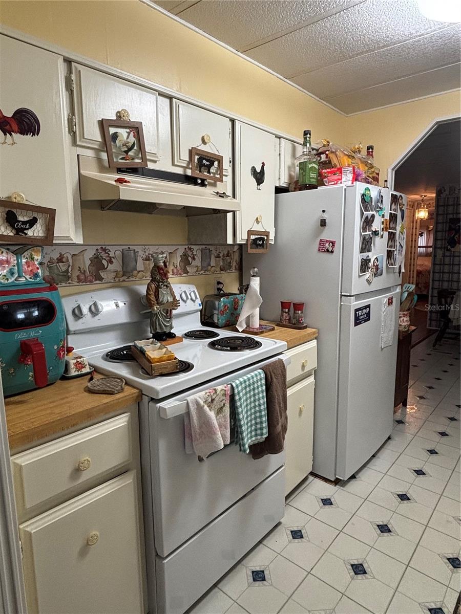2420 SE 175TH TER, SILVER SPRINGS, FL — photo 7