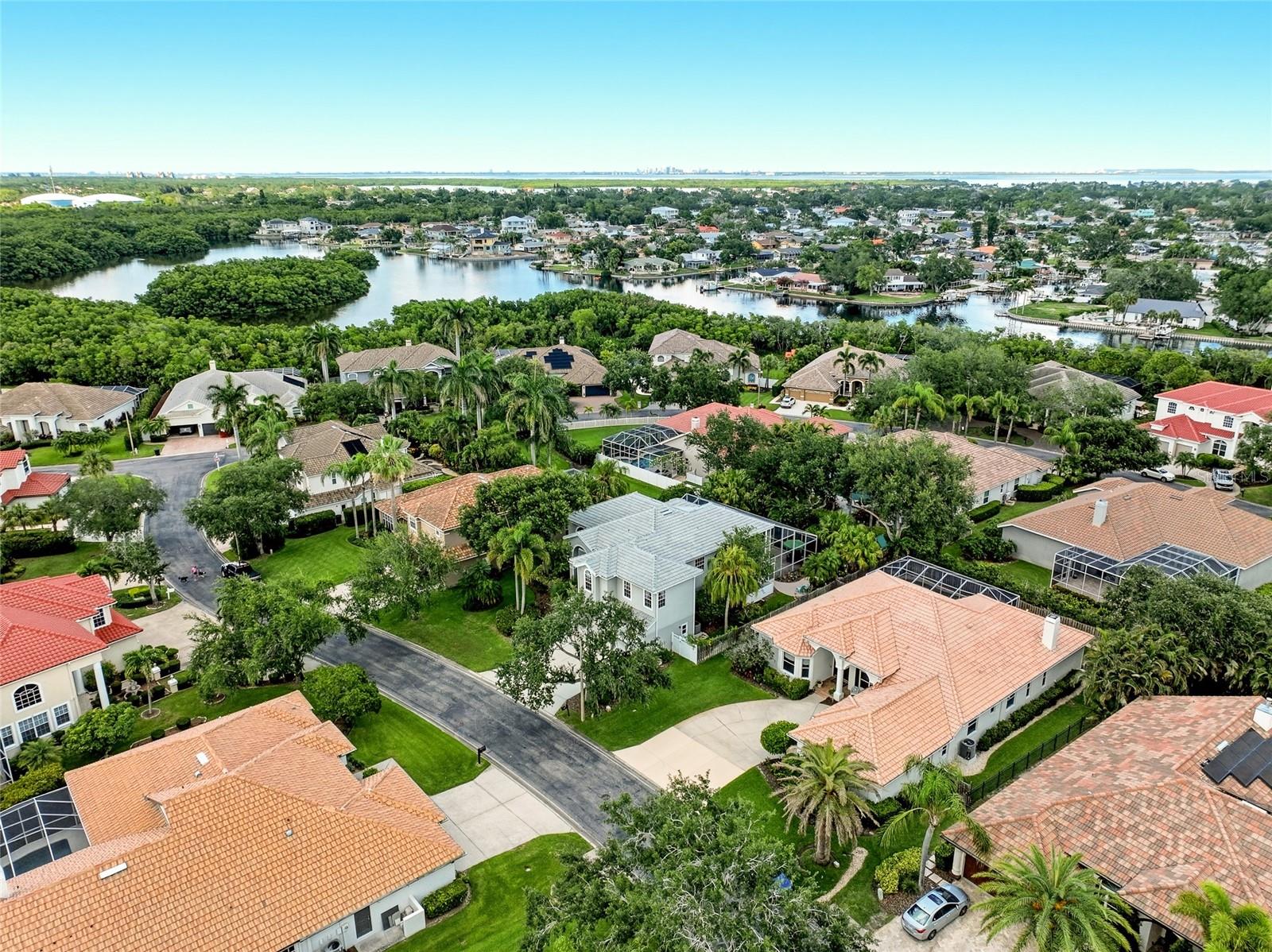 1246 DARLINGTON OAK CIR NE, ST PETERSBURG, FL — photo 75