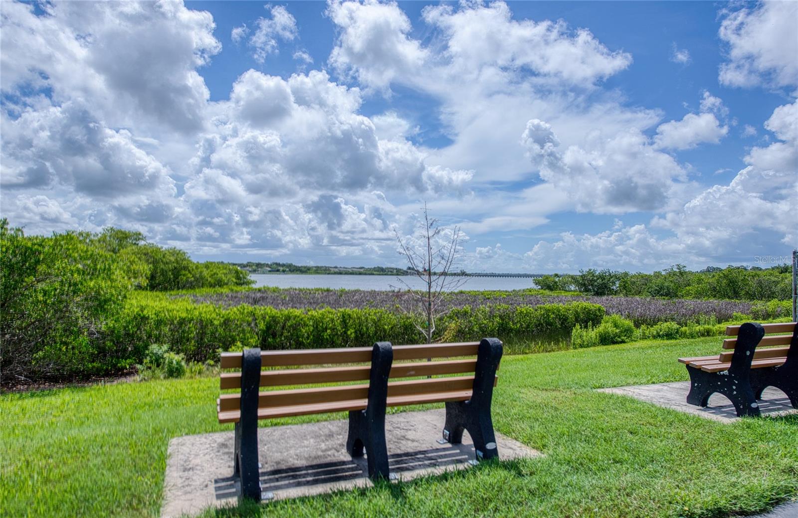 86 COTTAGEWOOD DR #36, SAFETY HARBOR, FL — photo 48