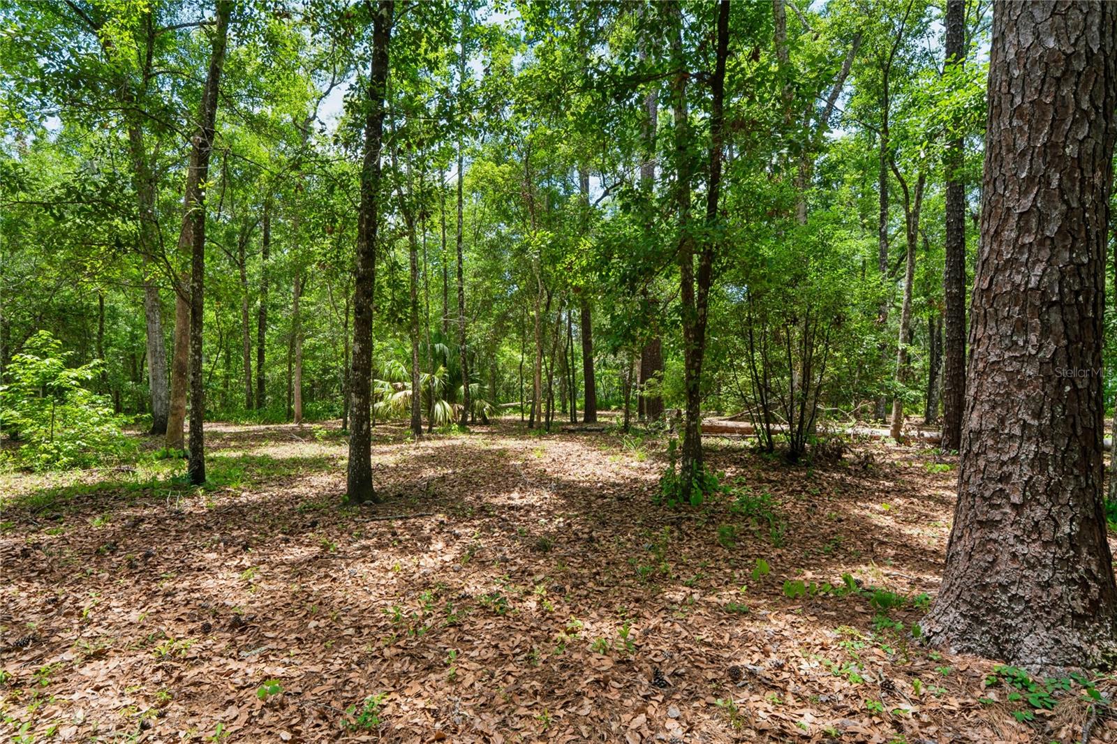 1022 S MILDRED AVE, BROOKSVILLE, FL — photo 53