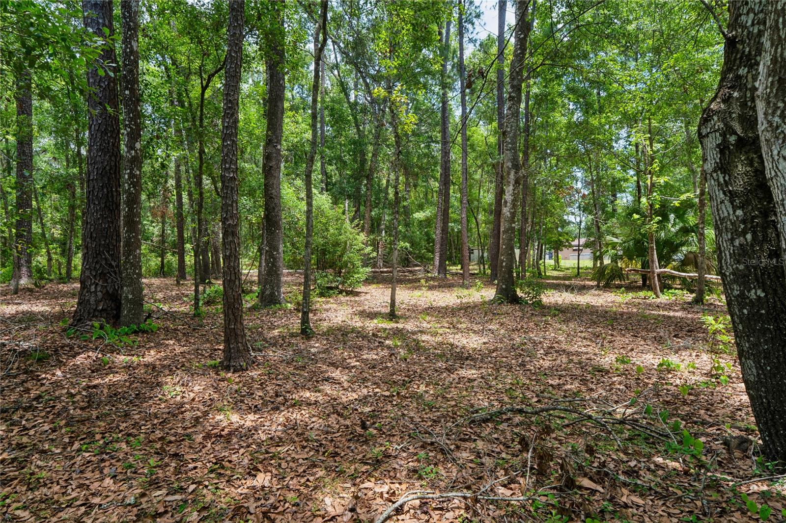 1022 S MILDRED AVE, BROOKSVILLE, FL — photo 54