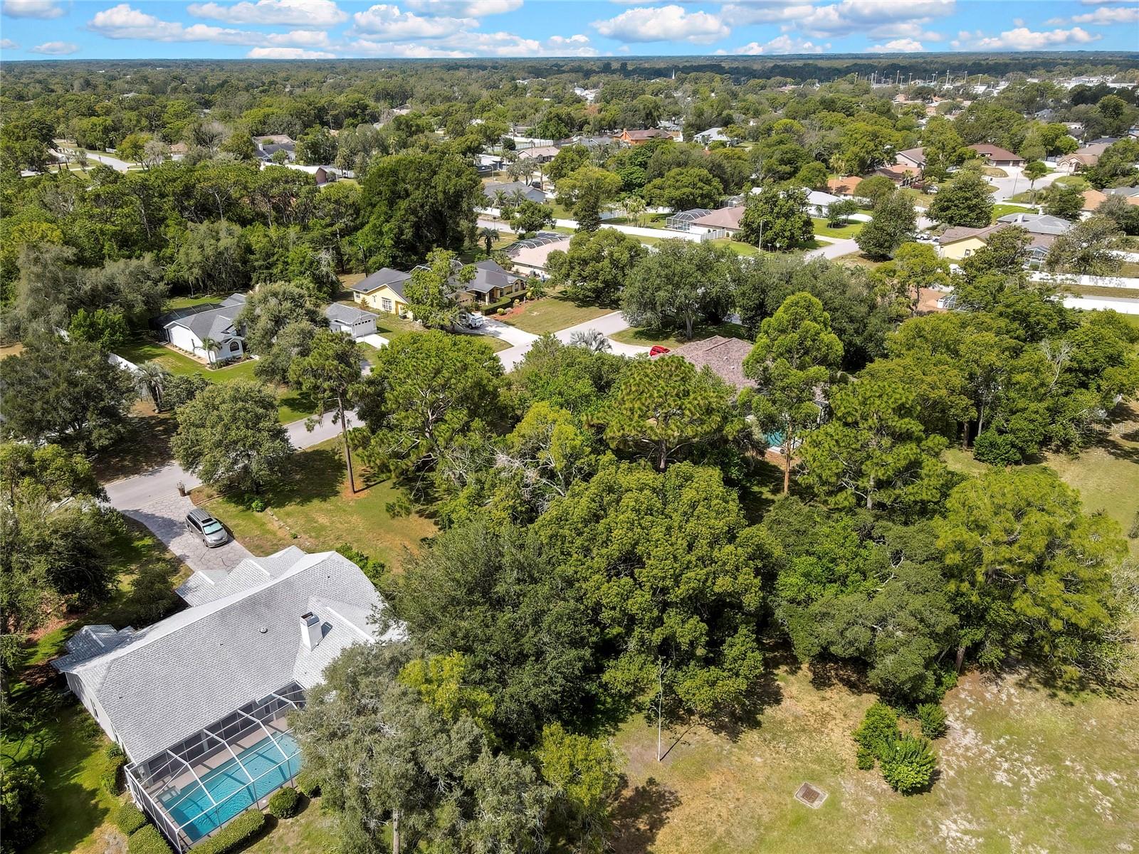 ORANGEWOOD CT, SPRING HILL, FL — photo 8