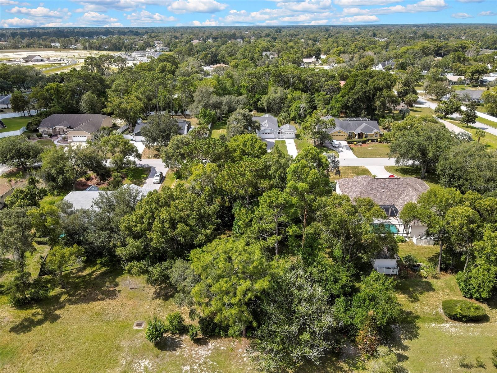 ORANGEWOOD CT, SPRING HILL, FL — photo 9