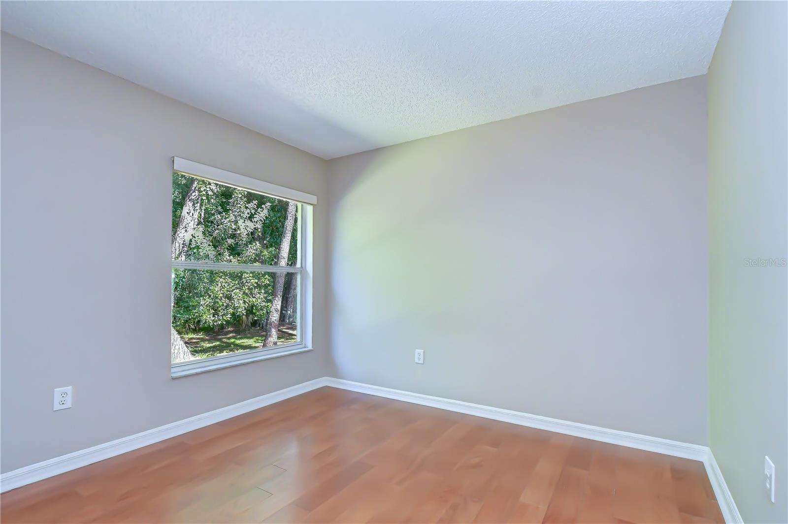 8545 MANASSAS RD, TAMPA, FL — photo 17