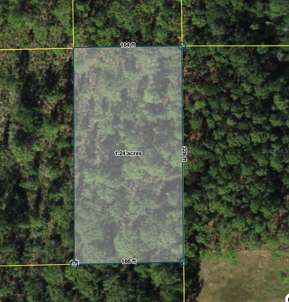 POLK CITY, POLK CITY, FL