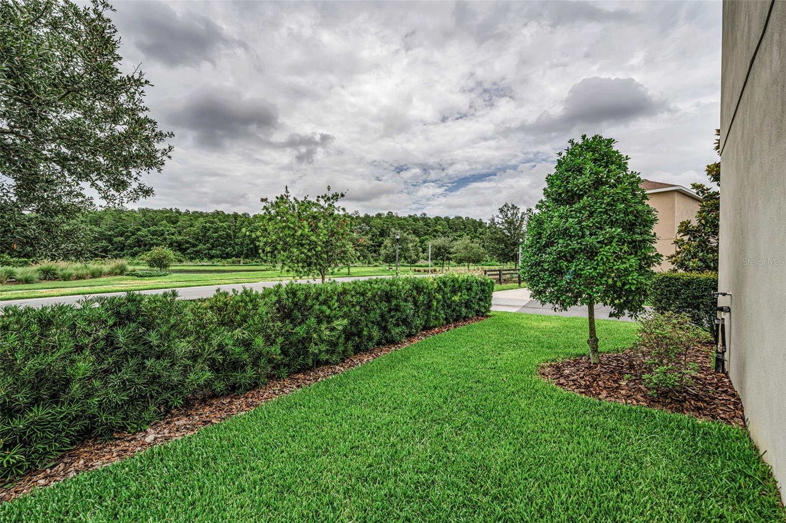 13760 STEVENSON LN, ODESSA, FL — photo 39