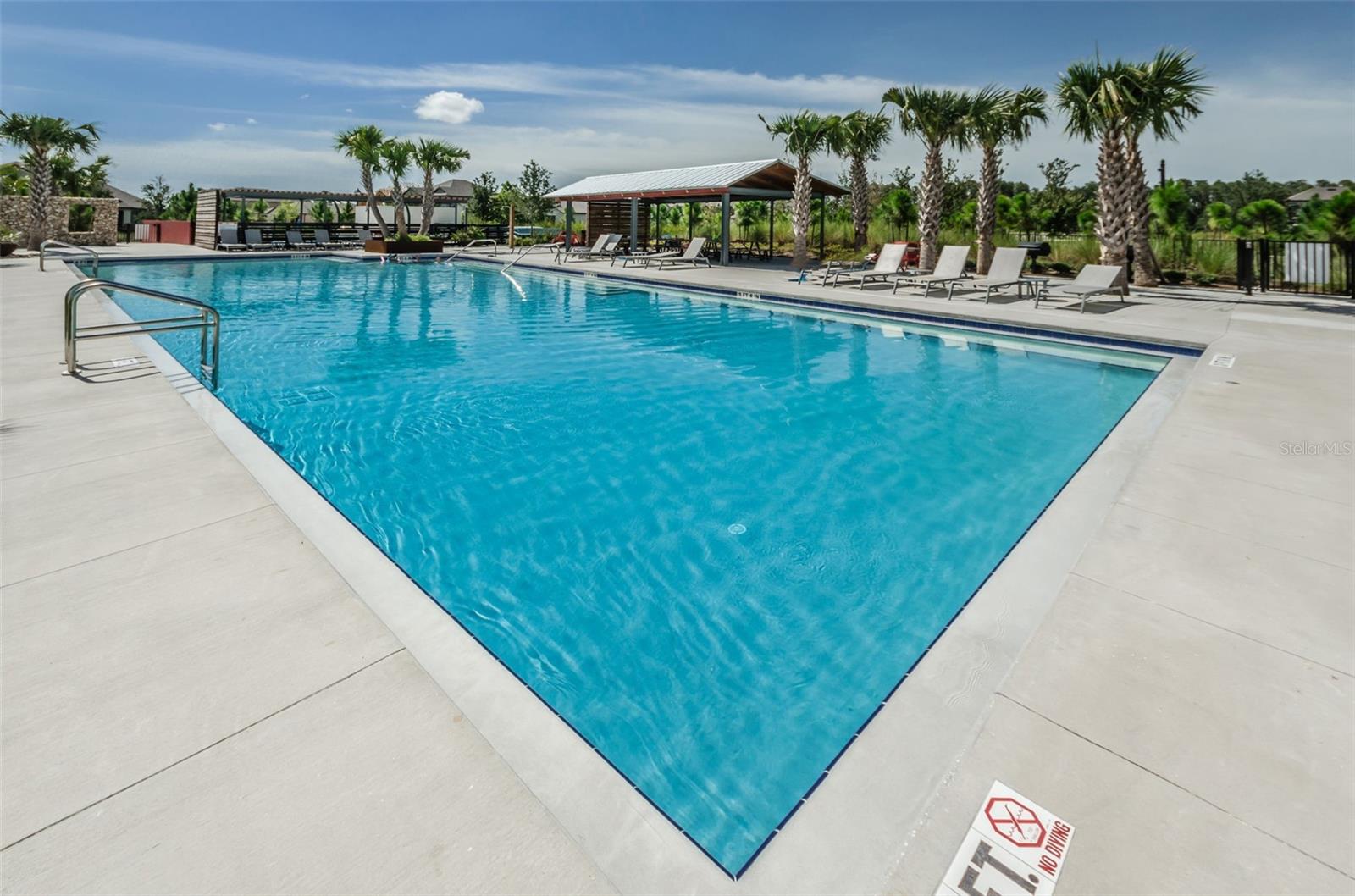13760 STEVENSON LN, ODESSA, FL — photo 52