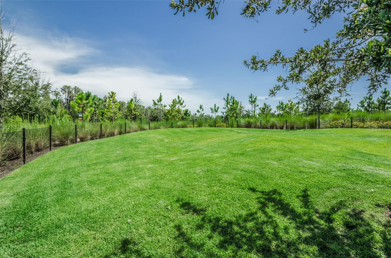 13760 STEVENSON LN, ODESSA, FL — photo 63