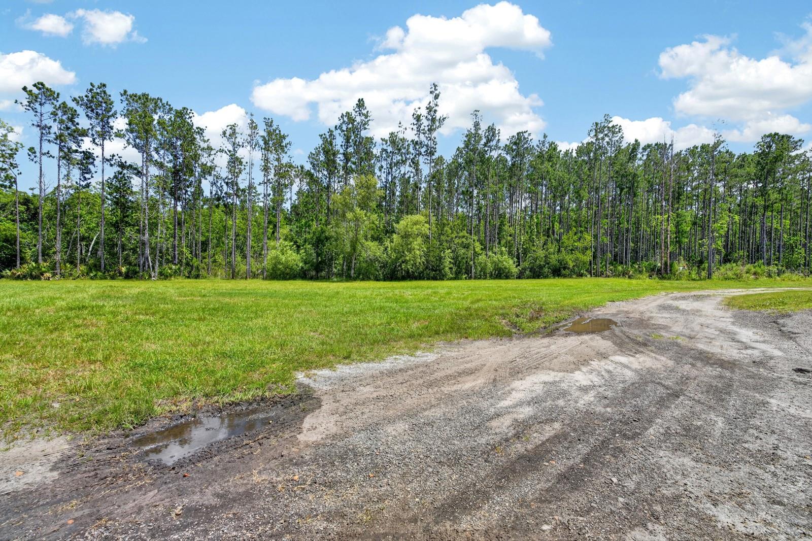 103 SWEETWATER TRL, BUNNELL, FL — photo 77