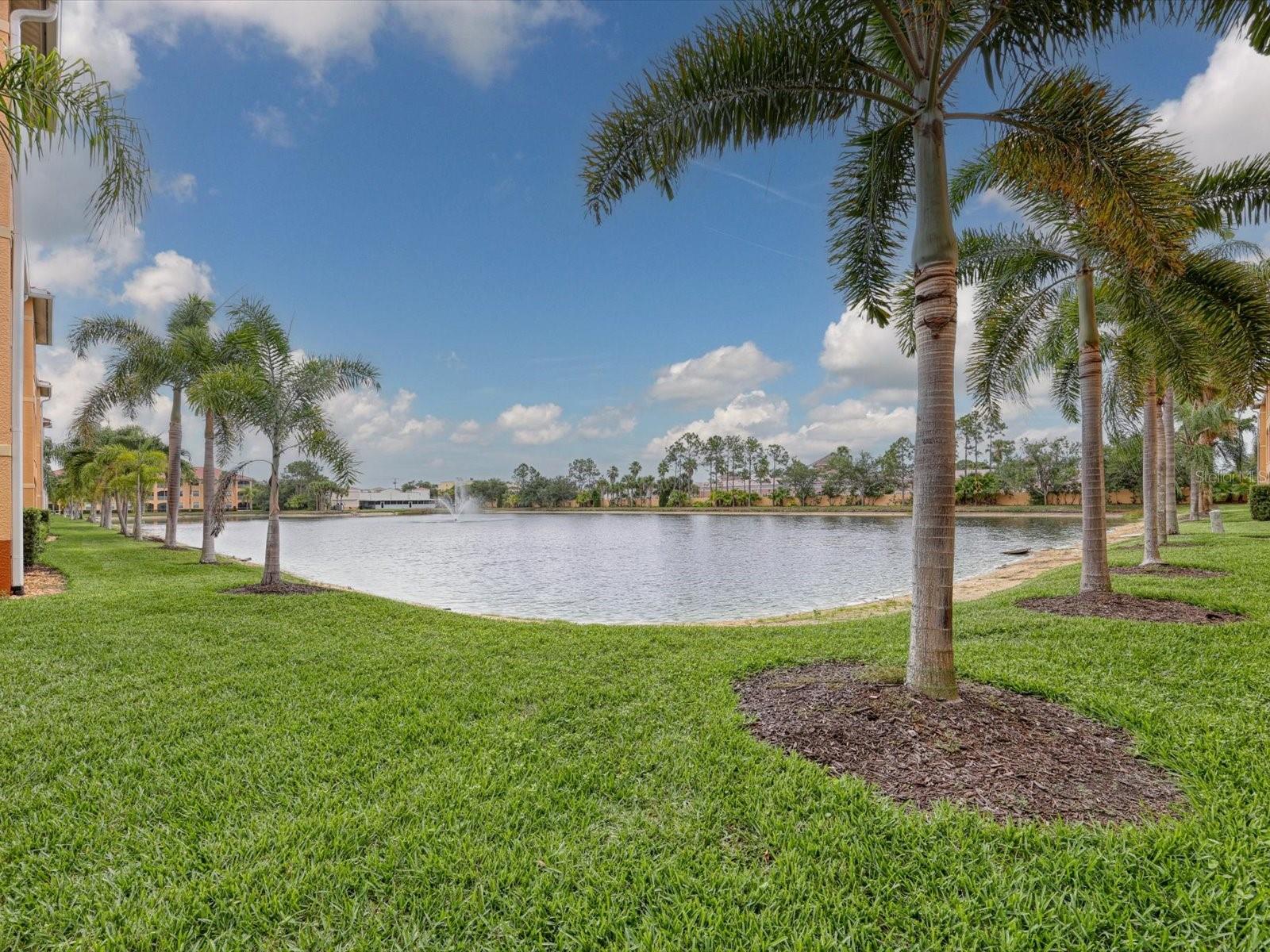 150 L PAVIA BLVD #13, VENICE, FL — photo 22