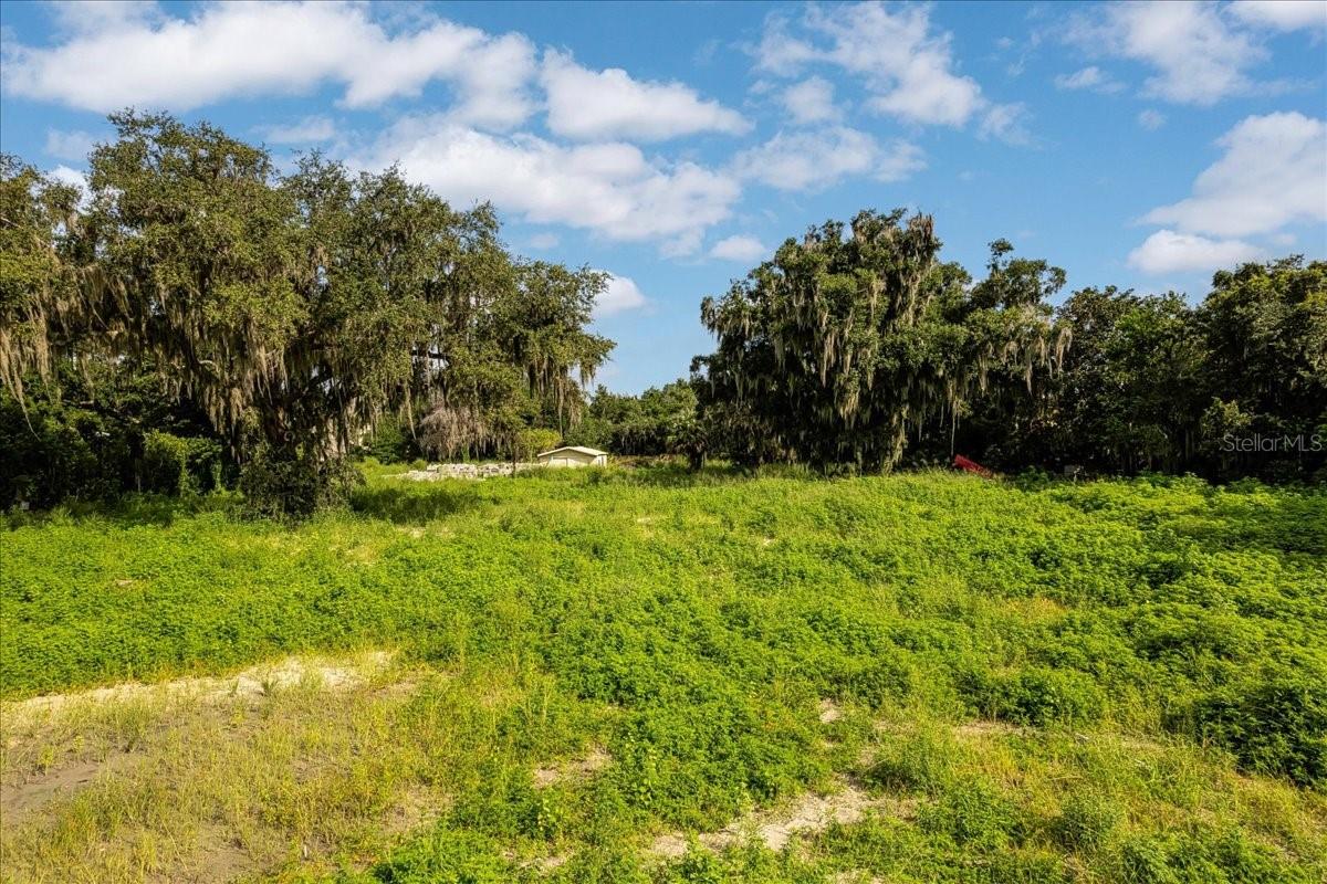 12422 PARK AVENUE, WINDERMERE, FL — photo 52