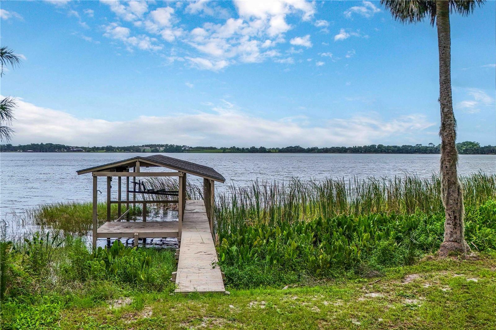 5616 TRIMBLE PARK RD, MOUNT DORA, FL — photo 34