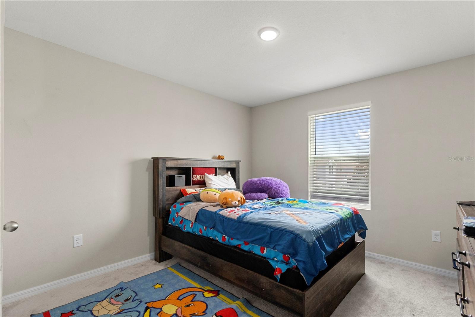 13109 FRUITVILLE WAY, RIVERVIEW, FL — photo 19