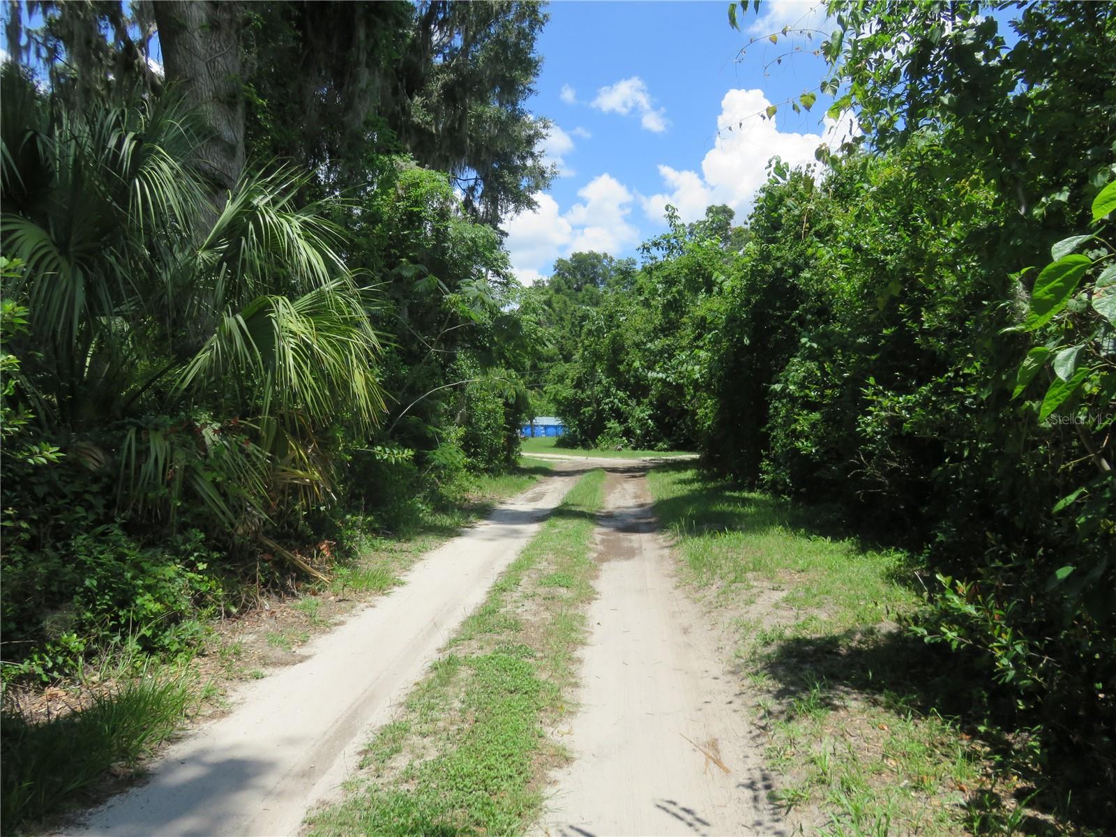 00 SE 142 PL, SUMMERFIELD, FL — photo 6